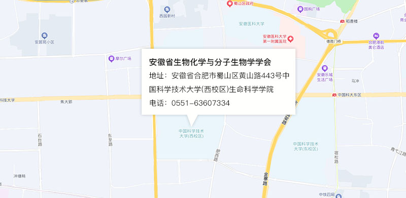 地图